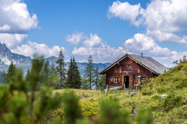 istock Idyllic mountain landscape in the alps: Mountain chalet, meadows and blue sky 1135078708