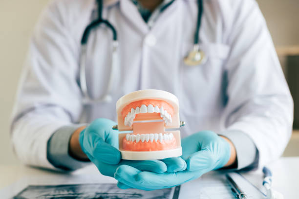 istock Dentist holding dentures in office room. 1135079019
