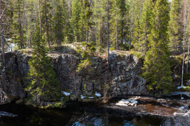 istock Flooding river and piece of ice in forest 1135080796