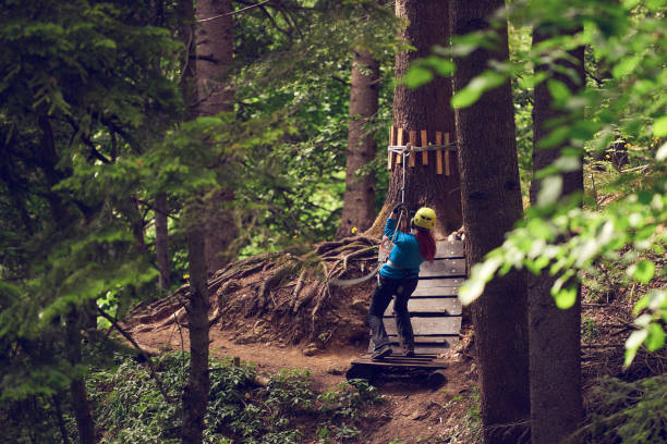 reißverschluss im wald - zip lining stock-fotos und bilder