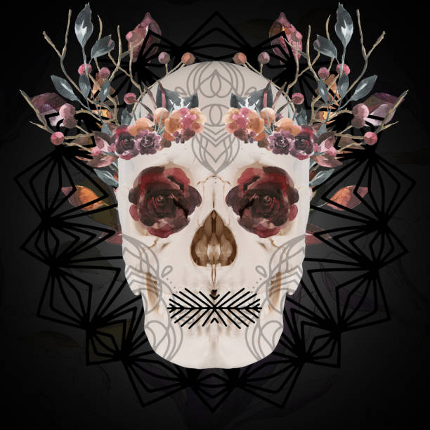 Human skull background