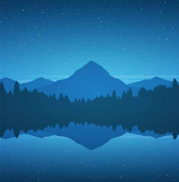 ilustrações de stock, clip art, desenhos animados e ícones de night mountain lake landscape with pine forest, reflection and stars on sky. - layered mountain peak summer light