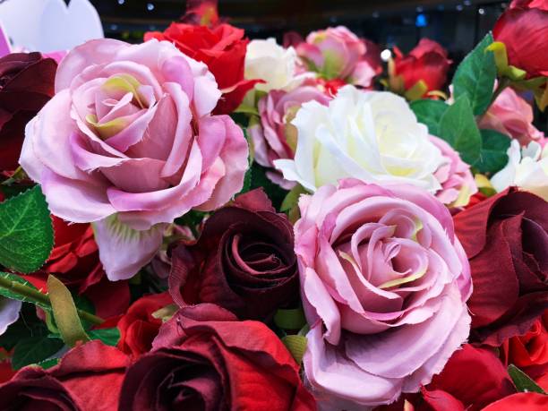istock Natural pink roses. 1135087948