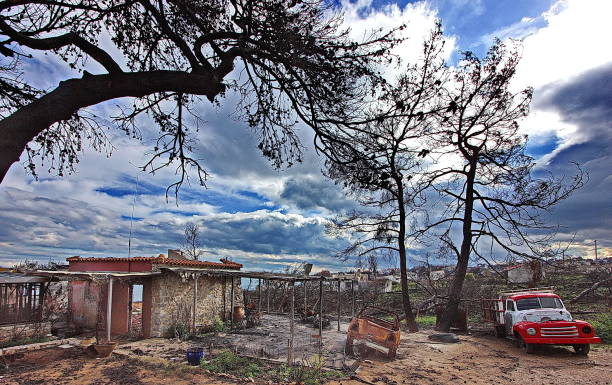After the fire... Mati, Attica, Greece