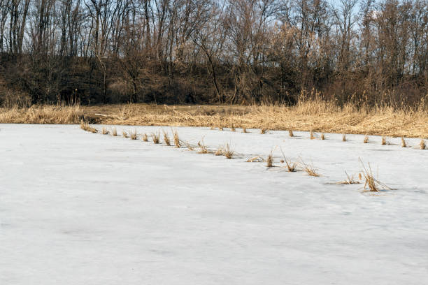 istock cane in the ice for oxygen to let the fish breathe 1135088560