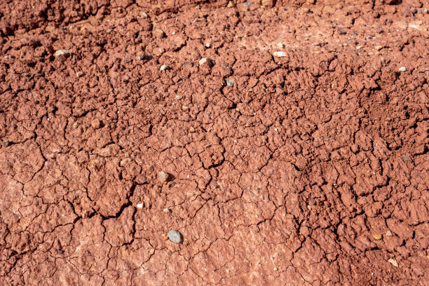 istock Brown cracked earth, clay soil, cracks 1135088669