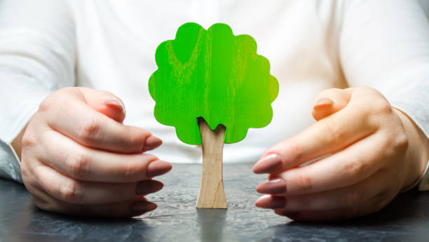istock Woman protects a miniature green tree. Saving the environment and protecting forests from deforestation and extinction. Forest fires. Creation of reserves and green areas. Nature care concept 1135088909