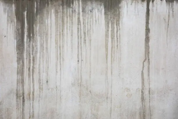 Photo of Wet concrete wall background at rainy day