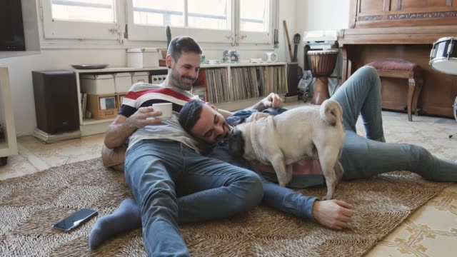 Mid adult gay couple playing with their pug lying down on rug at home