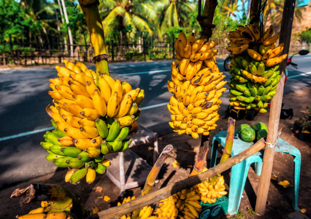truck load of bananas in southern state of India