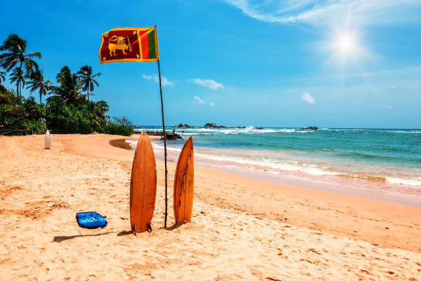 tabla de surf y bandera de sri lanka en la playa - lanka fotografías e imágenes de stock