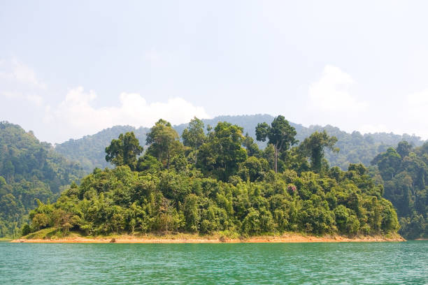 istock Beautiful desert island covered with wild jungle. 1135098488