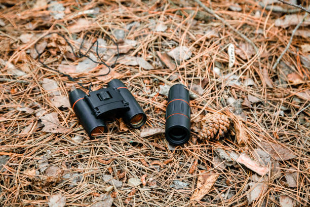 istock binoculars and monocle on the ground covered with pine needles in the forest 1135098679