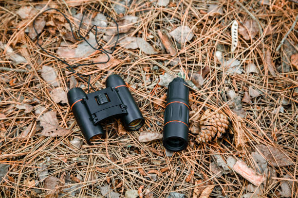 istock binoculars and monocle on the ground covered with pine needles in the forest 1135098681