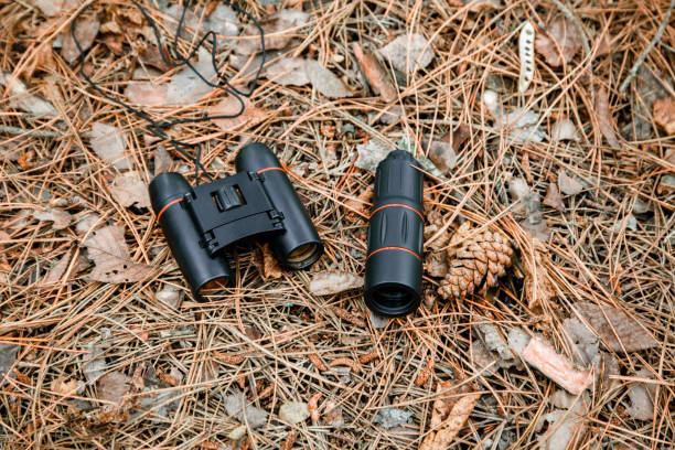 istock binoculars and monocle on the ground covered with pine needles in the forest 1135098780