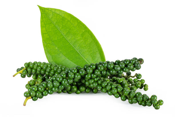 istock Fresh green peppercorn isolated on white background 1135099106