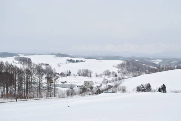 istock snow field on mountain in Hokkaido Japan 1135100270