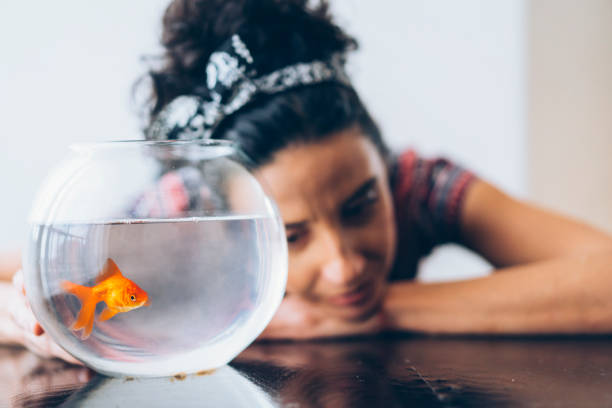 istock Woman and golden fish 1135102956