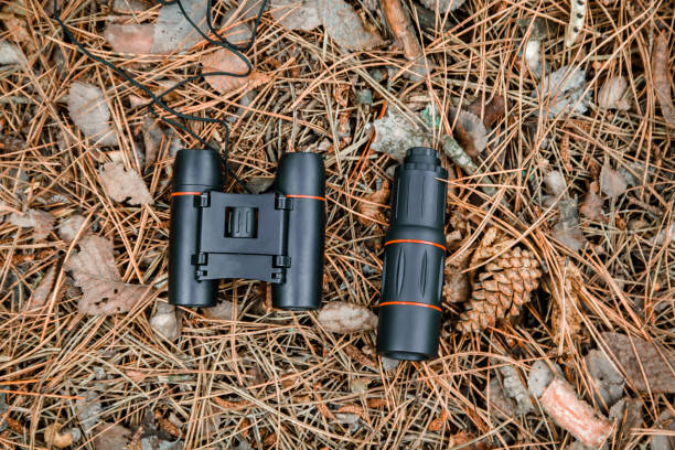 istock binoculars and monocle on the ground covered with pine needles in the forest 1135103153