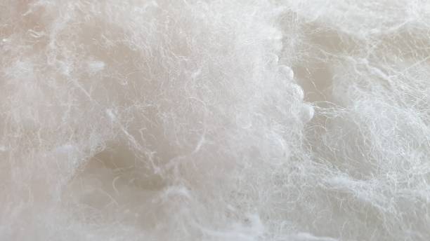 istock Abstract white background with fibres and copy space 1135104813