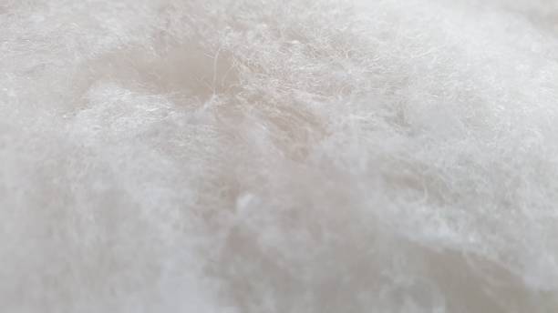 istock Abstract white background with fibres and copy space 1135104818