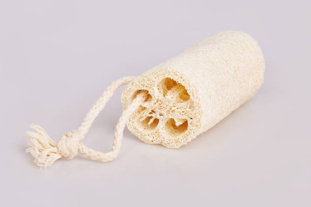 Natural sponge Luffa Natural sponge Luffa cylindricaon isolated on white background. Vegetable Luffa or zucchini sponge for body scrubbing on white background. loofah photos stock pictures, royalty-free photos & images