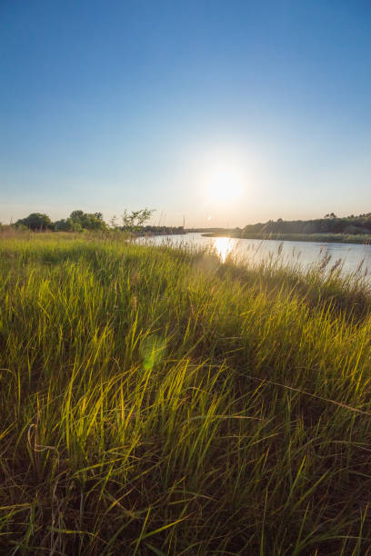 istock Landscape at sunset on the river in summer 1135106411