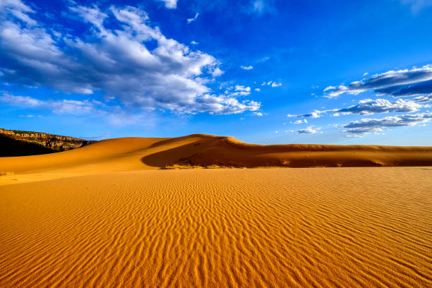 Scenic landscape with red-orange coral pink sand dunes.  Coral Pink Sand Dunes State Park, Utah USA.