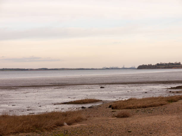 istock Beautiful bay coastal open scenery outside Manningtree, Jacques Bay 1135109551