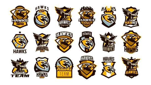 A large collection of colorful crests, badges, emblems on the theme of a hawk. Flying bird, hunter, predator, dangerous animal, shield, lettering. Mascot sports club, vector illustration A large collection of colorful crests, badges, emblems on the theme of a hawk. Flying bird, hunter, predator, dangerous animal, shield, lettering. Mascot sports club, vector illustration. hawk bird stock illustrations