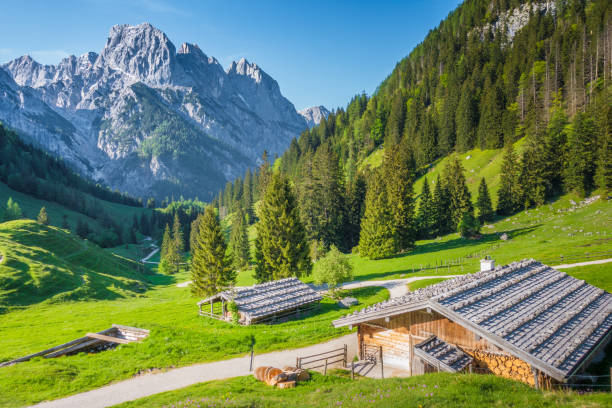istock Traditional mountain chalets in the Alps in summer 1135113126