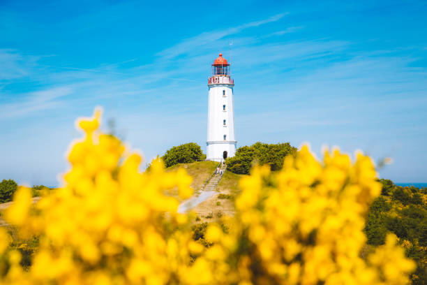 phare dornbusch sur l'île hiddensee, ostsee, allemagne - schleswig photos et images de collection