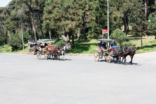 Istanbul, Turkey - April 13, 2018: Horse carriage in Buyukada, Istanbul. Buyukada is an island in bosphorus, Istanbul, Turkey.