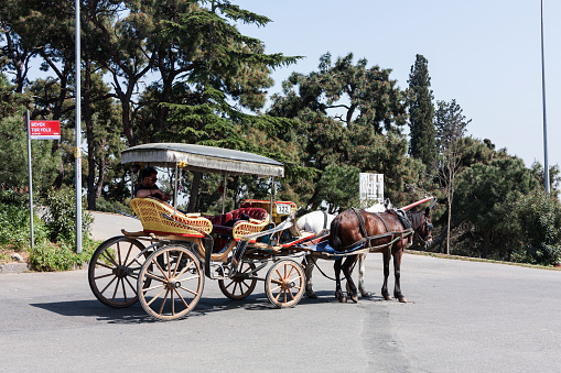 Istanbul, Turkey - April 13, 2018: Horse carriage in Buyukada, Istanbul. Buyukada is an island in bosphorus, Istanbul, Turkey.