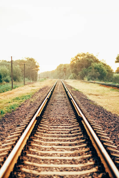 istock Road railway running through the trees and shrubs 1135115009