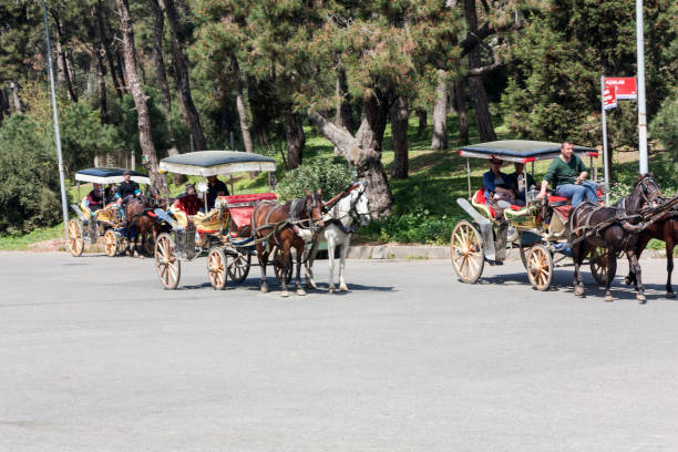 Istanbul, Turkey - April 13, 2018: Horse carriage in Buyukada, Istanbul. Buyukada is an island in bosphorus, Istanbul, Turkey.
