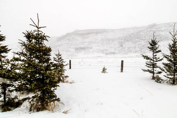 istock A snowy blustery day in Rockyview County, Alberta, Canada 1135118231