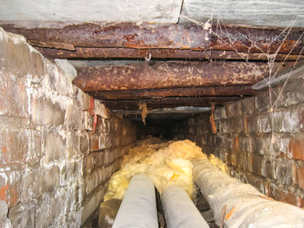 istock Corps and basements dorm in Khamovniki 1135118631