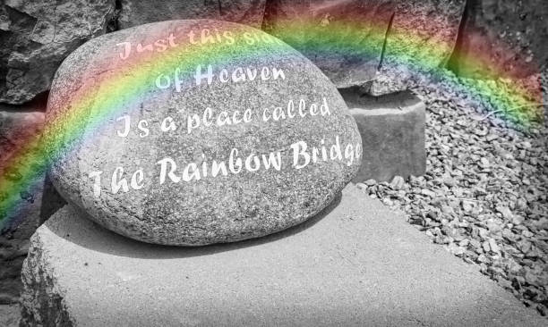 Memorial Stone For Animals Stock Photo - Download Image Now - Rainbow Bridge  National Monument, Pets, Death - iStock