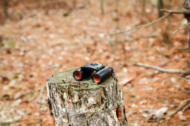 istock binoculars on the stump in autumn forest 1135119437