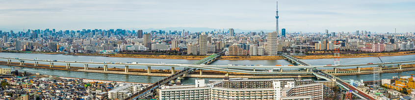 Aerial panorama over the endless cityscape of central Tokyo, from the banks of the Arakawa River to the iconic spire of the Tokyo Skytree and the skyscrapers of Shinjuku and Shibuya beyond, Japan.