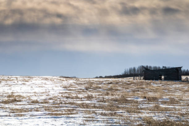 istock Rustic out buildings can be seen everywhere in Rockyview County, Alberta, Canada 1135120221