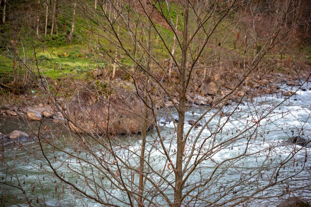 istock Water flowing on river at mountain 1135120294