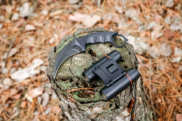 istock binoculars and karambit knife on the stump in autumn forest 1135121729