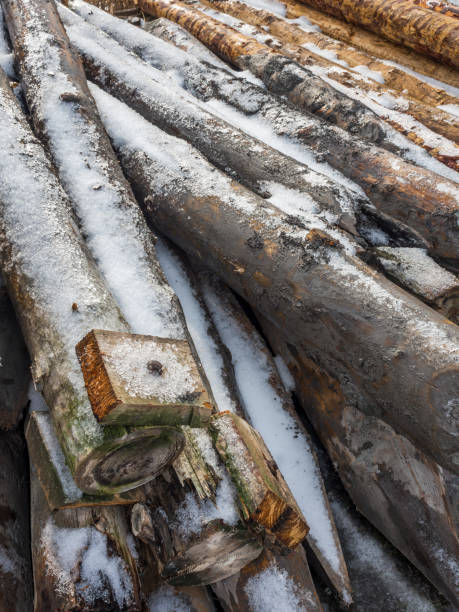 stake of wood in the warehouse covered with ice - konstruktion imagens e fotografias de stock