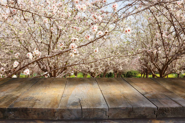 istock wooden table in front of spring blossom tree landscape. Product display and presentation 1135124431