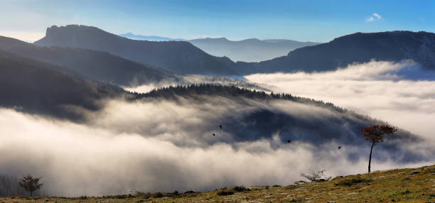 istock Urkiola natural park landscape in Spain 1135128155