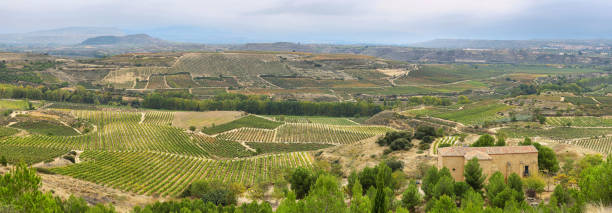 san vicente de la sonsierra, la rioja, spain - sonsierra fotografías e imágenes de stock