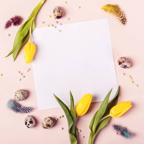 istock Easter holiday frame for greeting message. Yellow tulips, eggs and feathers 1135128239