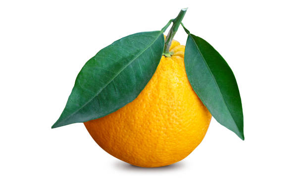 istock Ripe whole orange with two leaves 1135128325